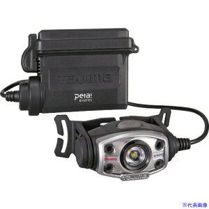 ^W} LEDwbhCgE421DZbg LEE421DSP(1951419)