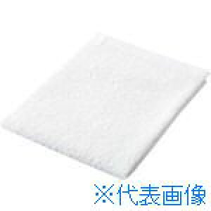 JTX 365351)ڂ^I10 zCg N109J|WH N109JWH(1958396)