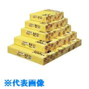 ��JTX 325371)�R�s�|�y�|�p�| ������ B5 5000��A019J A019J(1964742)[�����ʓr�����ς�][�@�l����][�f�O���]