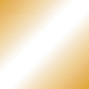 JTX 365302)PF肪݋F 100 B261J-25 B261J25(1972465)[ʓrς][@lEƏ][fO]