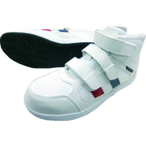 xm ~hJbg SC  24.0cm 6545W24.0(1977713)[ʓrς][@l][fO]