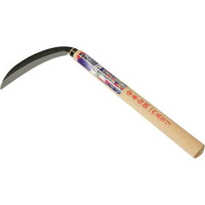  󒷋v |t 165mm 196055(1994196)[ʓrς][@l][O]