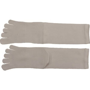  #2203-3P T|[^[5{w V LL 3g 22033P(2002479)[ʓrς][@l][O]