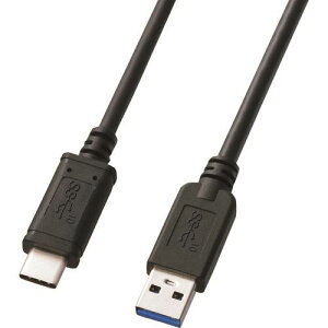 SANWA USB3.1Gen2TypeC-AP[u KU31CA10(2005538)