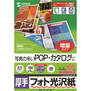 SANWA J[[U[ptHg򎆁E LBPKAGNA4N100(2031723)[ʓrς][@l][fO]