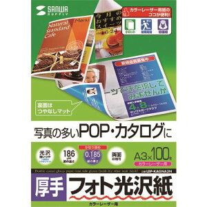 SANWA J[[U[ptHg򎆁E LBPKAGNA3N(2031946)[@l][O]