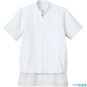 TybNX N[t[fjpWp[ zCg 5L CD6375L(2040308)[ʓrς][@l][fO]