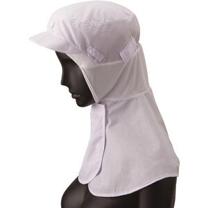 TybNX Ot[h qXq zCg M RN6910M(2046589)[ʓrς][@l][fO]