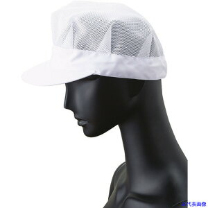 TybNX pXq bV qXq zCg F FH5179(2048181)