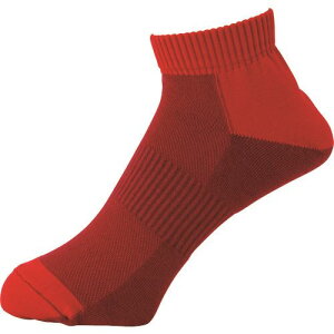 ~hS SCpC tBbg\bNX V[g^Cv _[Nbh TFS02DRD(2052592)[ʓrς][@l][fO]