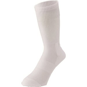 ~hS SCpC tBbg\bNX zCg TFS01W(2052597)[ʓrς][@l][fO]