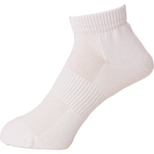 ~hS SCpC tBbg\bNX V[g^Cv zCg TFS02W(2054153)[ʓrς][@l][fO]