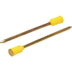  {bNXŒB (100{) OF31S(2055365)[ʓrς][@l][fO]