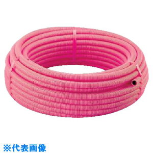  TtL p(sN) LS230BP(2057202)[ʓrς][@l][fO]