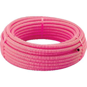  TtL p(sN) LS222BP(2057203)[ʓrς][@l][fO]