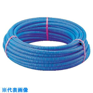  TtL p(u-) LS228BB(2057206)[ʓrς][@l][fO]