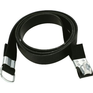 TRUSCO S[v tbNADJt 20mm×3.0m (10{) GR2030AD(2072846)