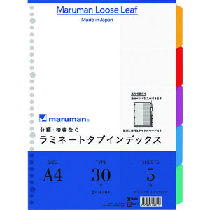 maruman t@CpJ[ ~l[g^uCfbNX A4 ~^uo 5R LT4005(2072922)