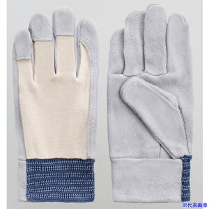 xmO[u pbN b10og 1228(2088228)×12[ʓrς][@l][fO]