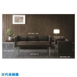 ��NAIKI �Z���^�[�e�[�u�� ZRT190T9(2089834)[�����ʓr�����ς�][�@�l����][�O����]