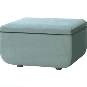 vX 51451)WF\t@ 1l|wȂ LS-WFS01S CLB LSWFS01SCLB(2120124)[ʓrς][@lEƏ][O]