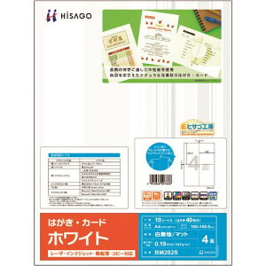 HISAGO ͂EJ[h 4/zCg BM202S(2146999)[ʓrς][@l][fO]