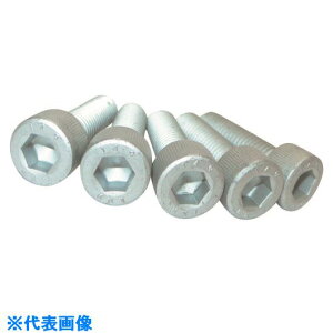 ���R�m�G ���x�敪14.9�����x�Z�p���t���{���g �f���^�v���e�N�g �S�l�W 8×16 CS149DPF816(2156282)×5[�����ʓr�����ς�][�@�l����][�f�O���]