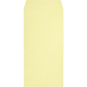 LOR[| `3vCoV[ی압 Hi\tg N[ X~\ giV1000X1 192019(2163963)[@l][O]