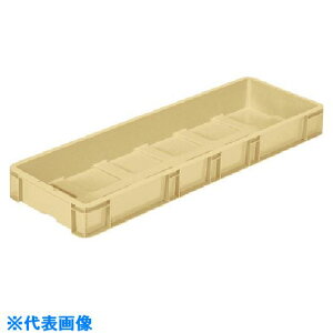 TR[ TPKiRei 202506 TP391 N[ SK391(C)(2166804)[ʓrς][@lEƏ][O]