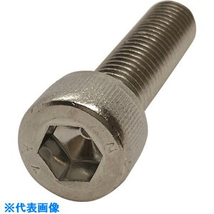 RmG SDCN[Zpt{g SlW 6x16 SCBCSFM6X16(2167279)[ʓrς][@l][fO]