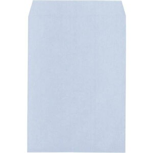 LOR[| p`2100g vCoV[ی압 Hi\tgJ[ANA X~\500X1 191010(2168705)[@l][O]