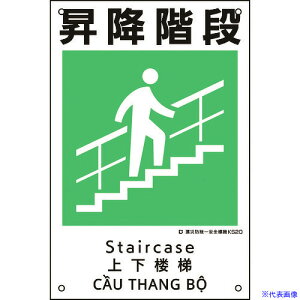 Ώ\ ЖhSW ~Ki KS20 450×300mm |vs 081020(2169134)[ʓrς][@l][fO]