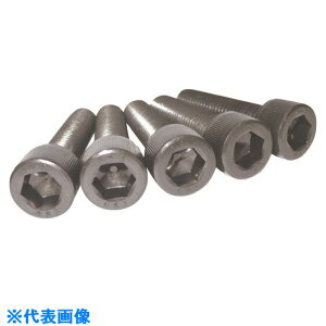 RmG x敪14.9xZpt{g SlW 3×10 CS149F310(2173625)×20[ʓrς][@l][fO]