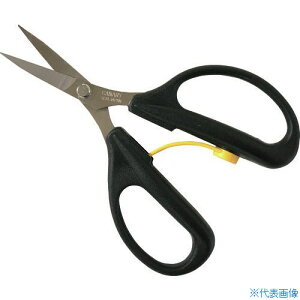 Li[ A[X[ nJ[un  AW165TC(2243663)