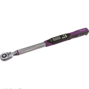 ���X�G�J�Q 1/2DR.�f�W�^���g���N�����` PDT4200(2261625)[�����ʓr���ς�][�@�l�E���Ə�����][�f�O���]