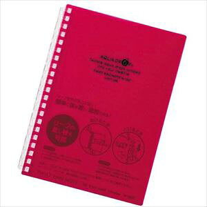 LIHIT cCXgm[g  B6-21 N16693(2275859)[ʓrς][@l][fO]