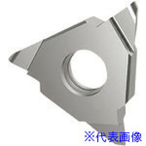 ��GUHRING �a����H�� �C���T�[�g �[�ʃt��R�a���� GA305.0150.075.AA.04.R 2563812.001(2336993)×2[�����ʓr�����ς�][�@�l����][�f�O���]