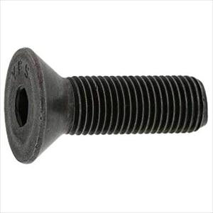 SUNCO SUSTCAP(UNF #1|72×5/16 (100{) A00220407010802500(2412244)[ʓrς][@l][fO]