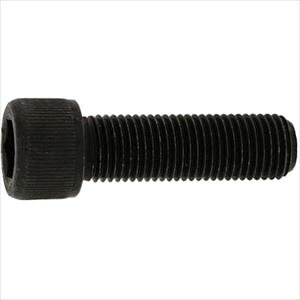 SUNCO 24}XeCAP(UNF5/16X4h1/2(50{) A00200408025844000(2433034)[ʓrς][@l][fO]