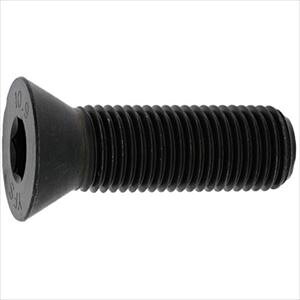 ��SUNCO BS�T��CAP 6×12 (700�{��) A00120000060012000(2436759)[�����ʓr�����ς�][�@�l����][�f�O���]