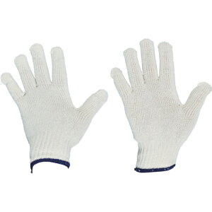 TRUSCO ȌR 10o ڕt600g TCG60010P(2442151)