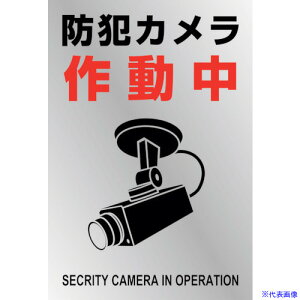 ���Ώ\�� �C���X�g�X�e�b�J�[�W�� �h�ƃJ�����쓮�� �\�|134 220×150mm 2���g PET 047134(2445244)