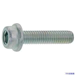 ��SUNCO �t�����W�\�P�b�g 12×55 (40�{��) A00030000120055000(2486618)[�����ʓr�����ς�][�@�l����][�f�O���]