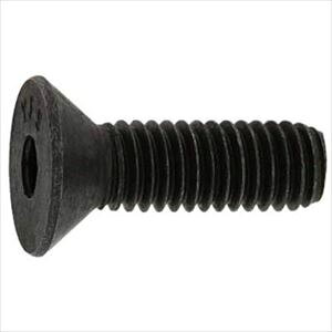 ��SUNCO �T��CAP(UNC #4�|40×5/16 (100�{��) A00020307040802500(2491302)[�����ʓr�����ς�][�@�l����][�f�O���]