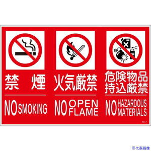 O[NX KK-M7 ֎~sוW  3 450x300 6300005159(2507731)[ʓrς][@l][O]