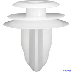 AXgv_Nc gNbv PF040 (10) 2026000010403(2530152)[ʓrς][@l][fO]