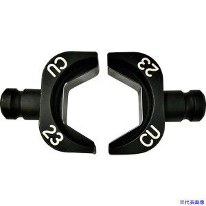 CACTUS Zpk_CXCU23 EVFDCU23(2540790)[ʓrς][@l][O]