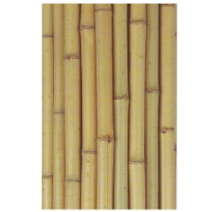 ` | 8X2M J007(2563220)×60[@l][O]