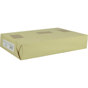 ���L���O�R�[�| �G�R�{�[��B4�� 257×364mm 100���� EBB4100(2570245)