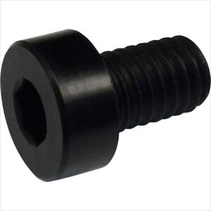 RmG ᓪZpt{g RENY M5×12 F LHCSRENYBK512(2579114)×10[ʓrς][@l][fO]